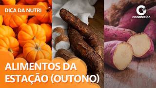 Alimentos da estação (outono) são mais nutritivos e baratos?